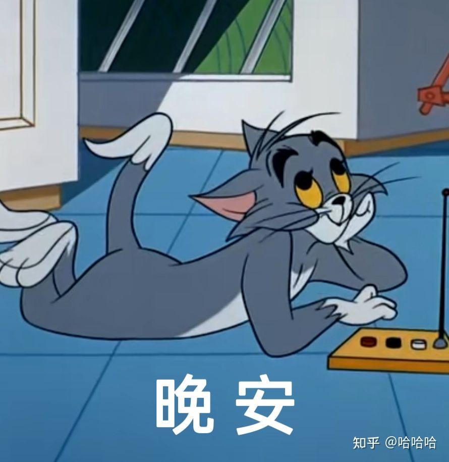 猫和老鼠的表情包