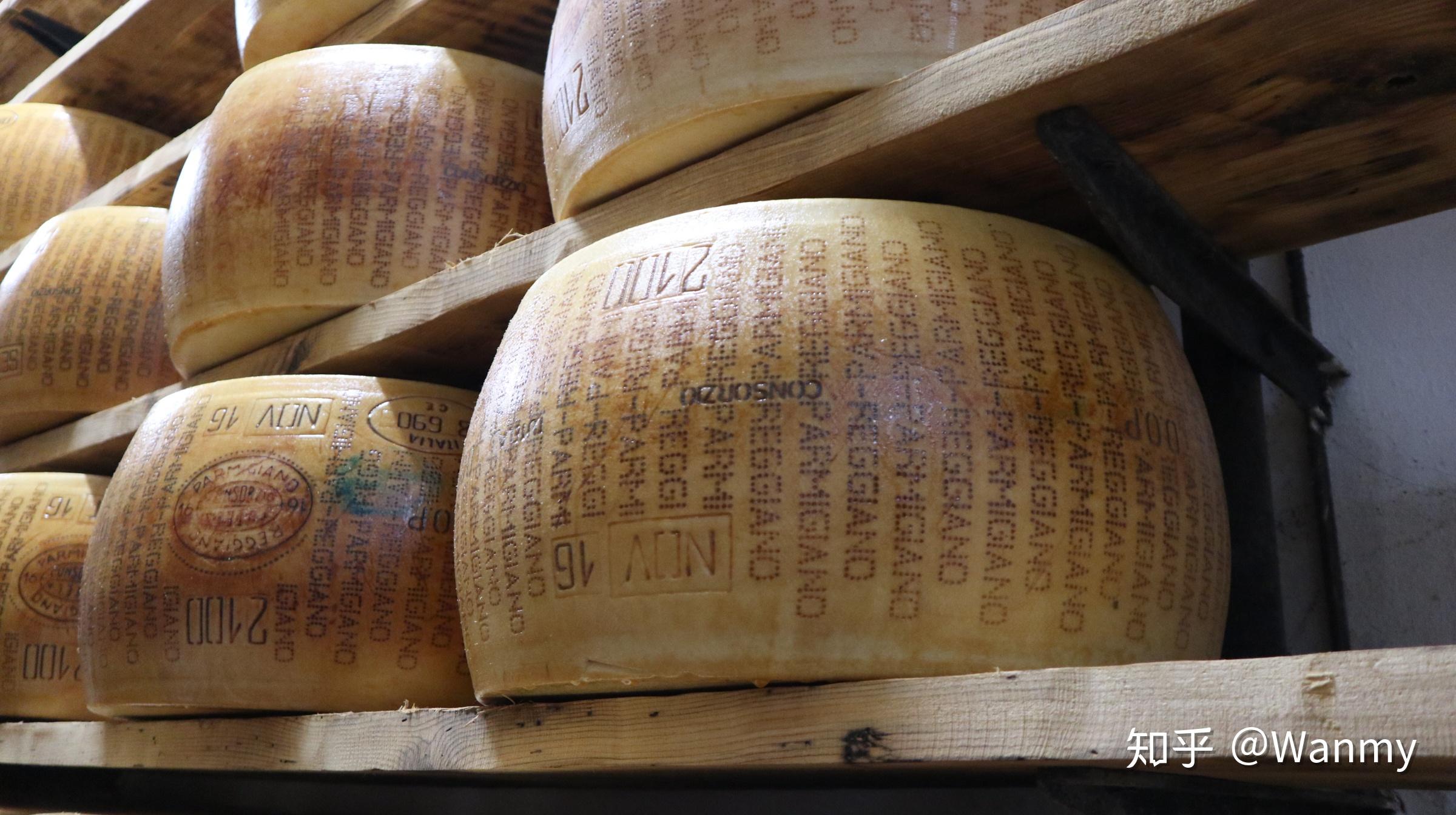 意大利奶酪之王图片