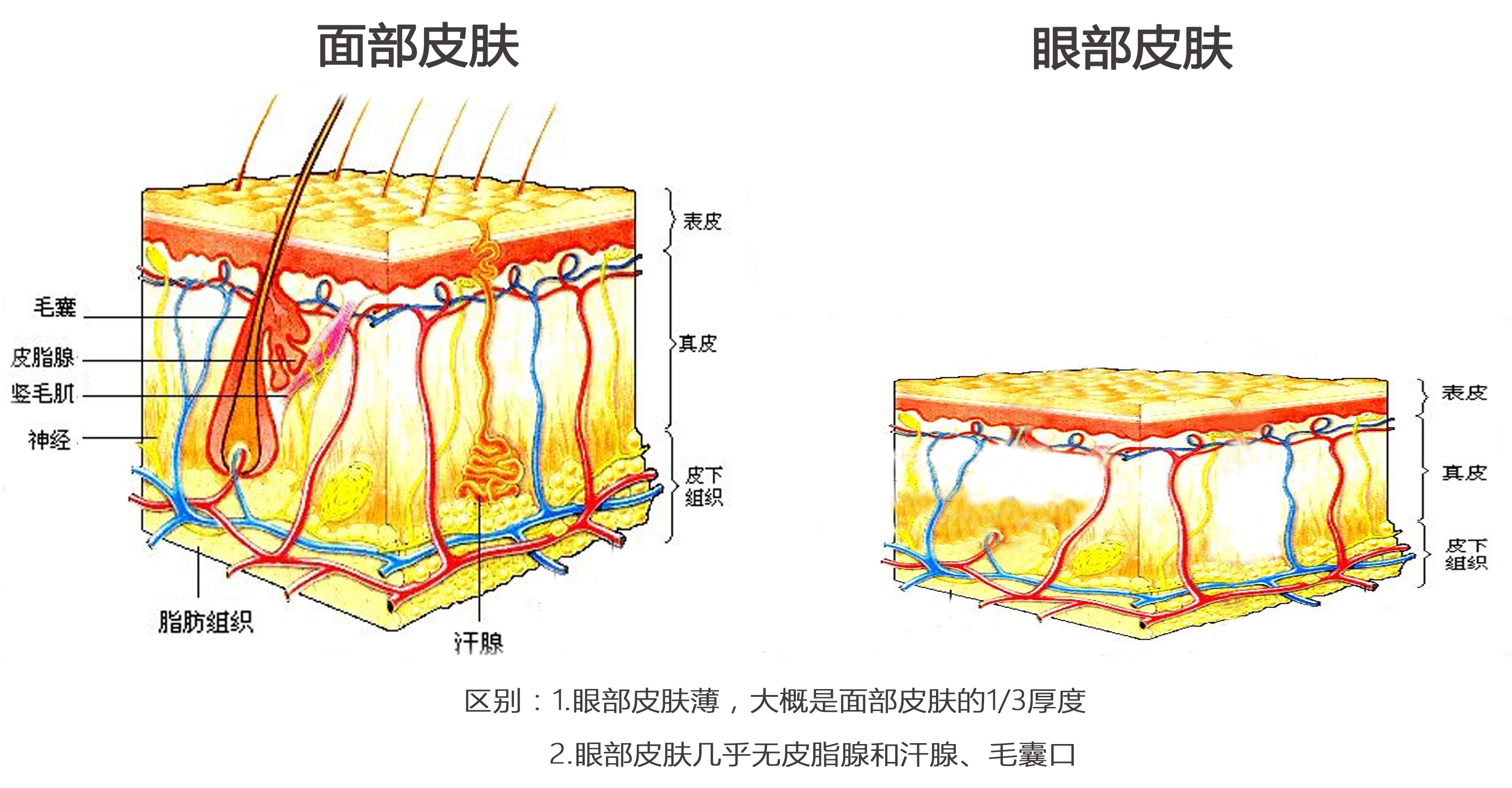 健康 小爱好 生活知识get