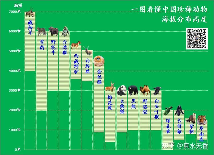 一图看懂中国珍稀动物海拔分布高度