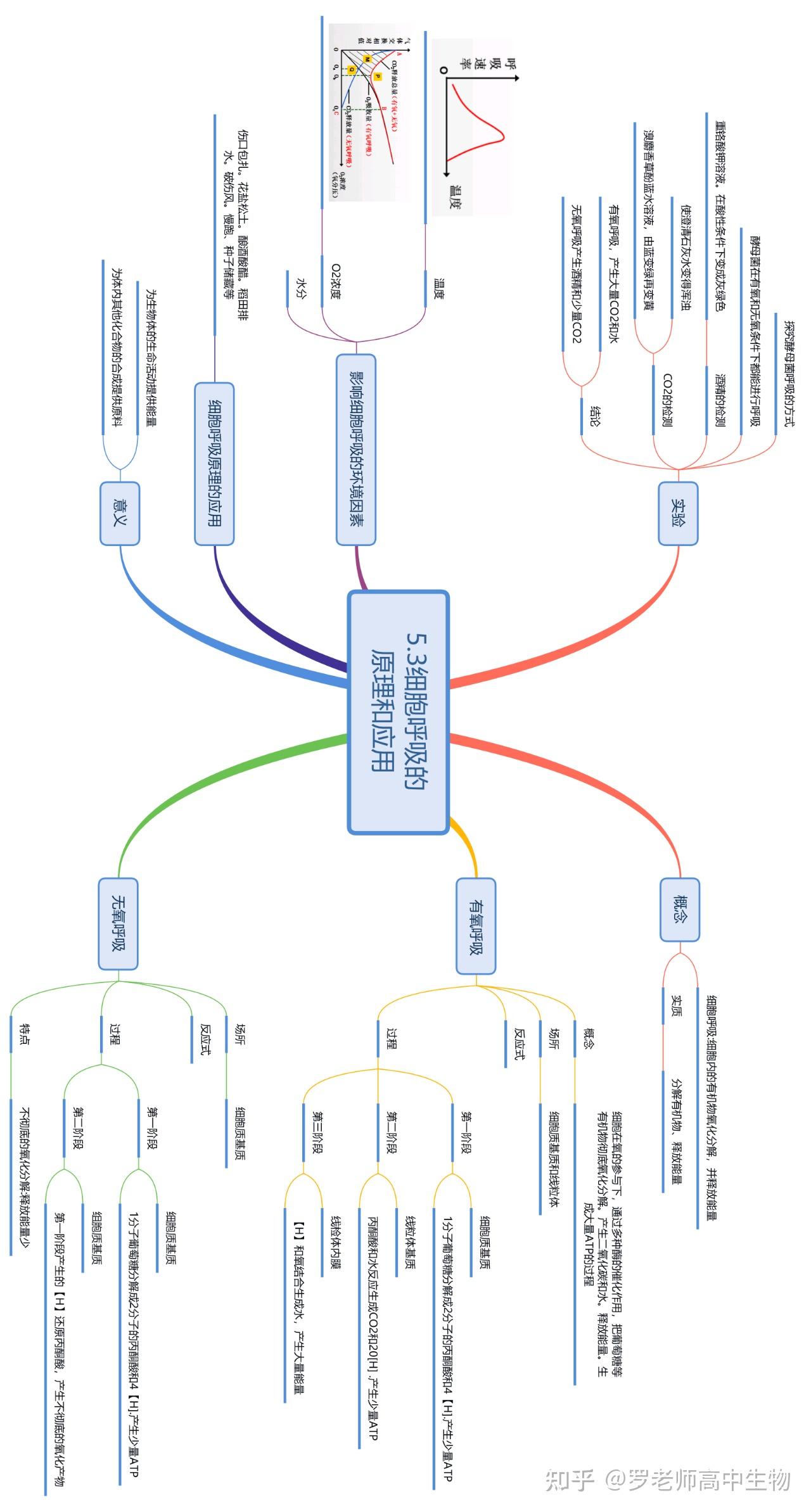 新人教必修一分子与细胞思维导图