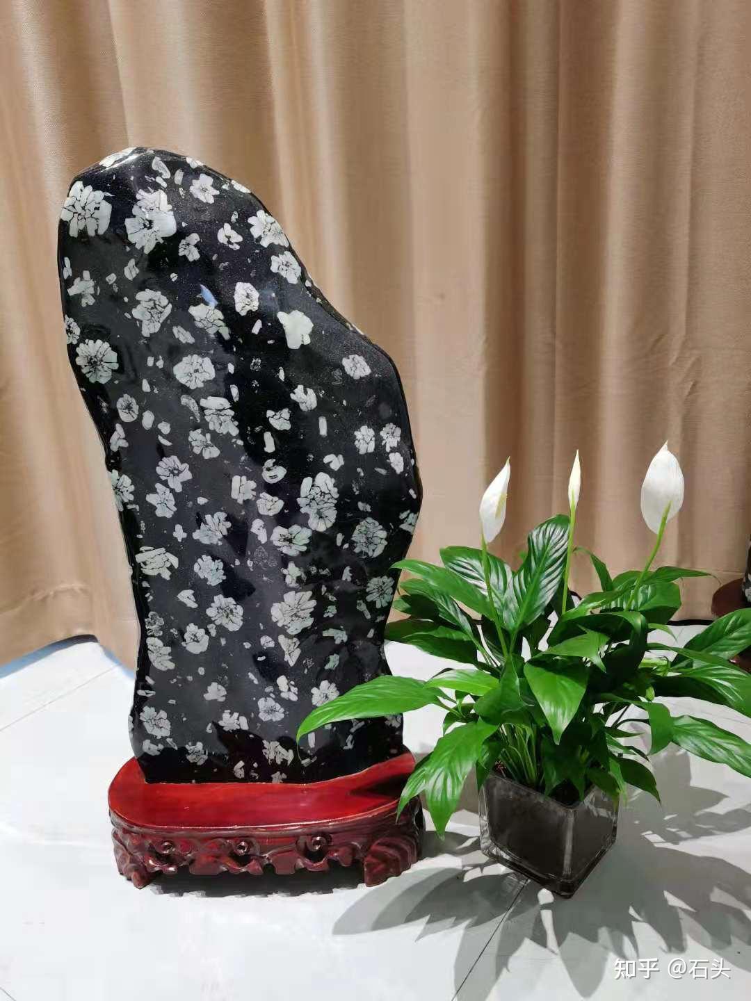 洛阳牡丹石- 知乎