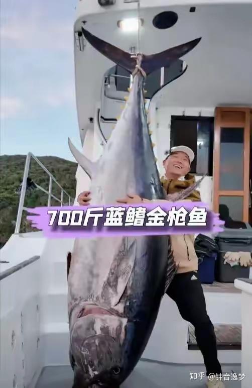 邓刚“钓”出的不只是鱼,更是深海里的温情故事 - 知乎