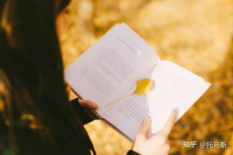 文学唯美句子摘抄——尘世情爱