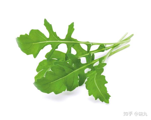 水菜与壬生菜 京都有啥骨骼清奇的蔬菜 知乎