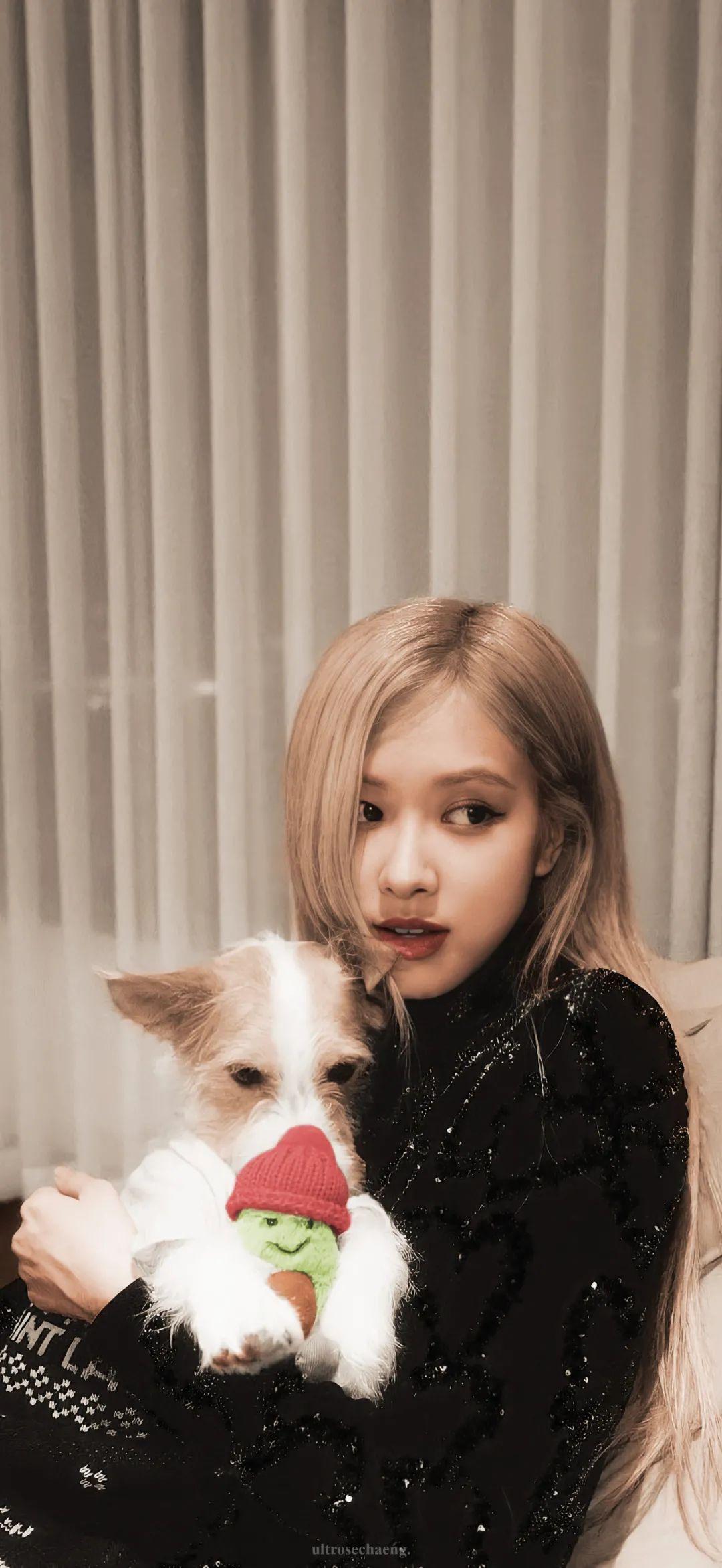 壁纸丨金珍妮朴彩英