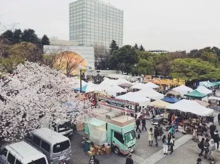 会买的人 都去逛日本的跳蚤市场了 知乎