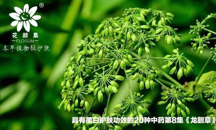 v2-942b6c041b722bd2f0808e3884a660f6_1440w.jpg?source=172ae18b