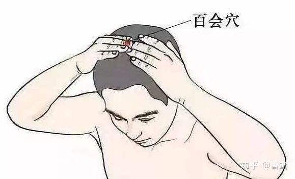 百会穴的治病功效 - 知乎
