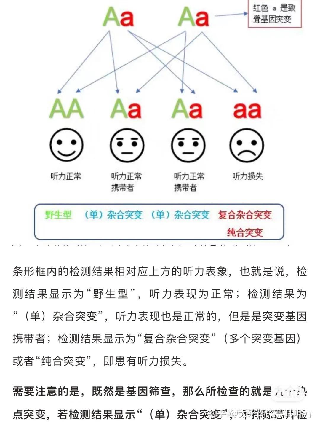 教你解读耳聋基因报告|听力问题