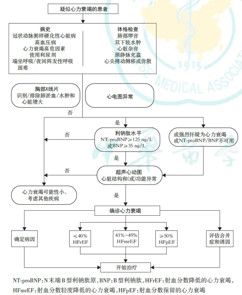 中国心衰指南时隔6年再度更新，芪苈强心胶囊再获推荐 - 知乎