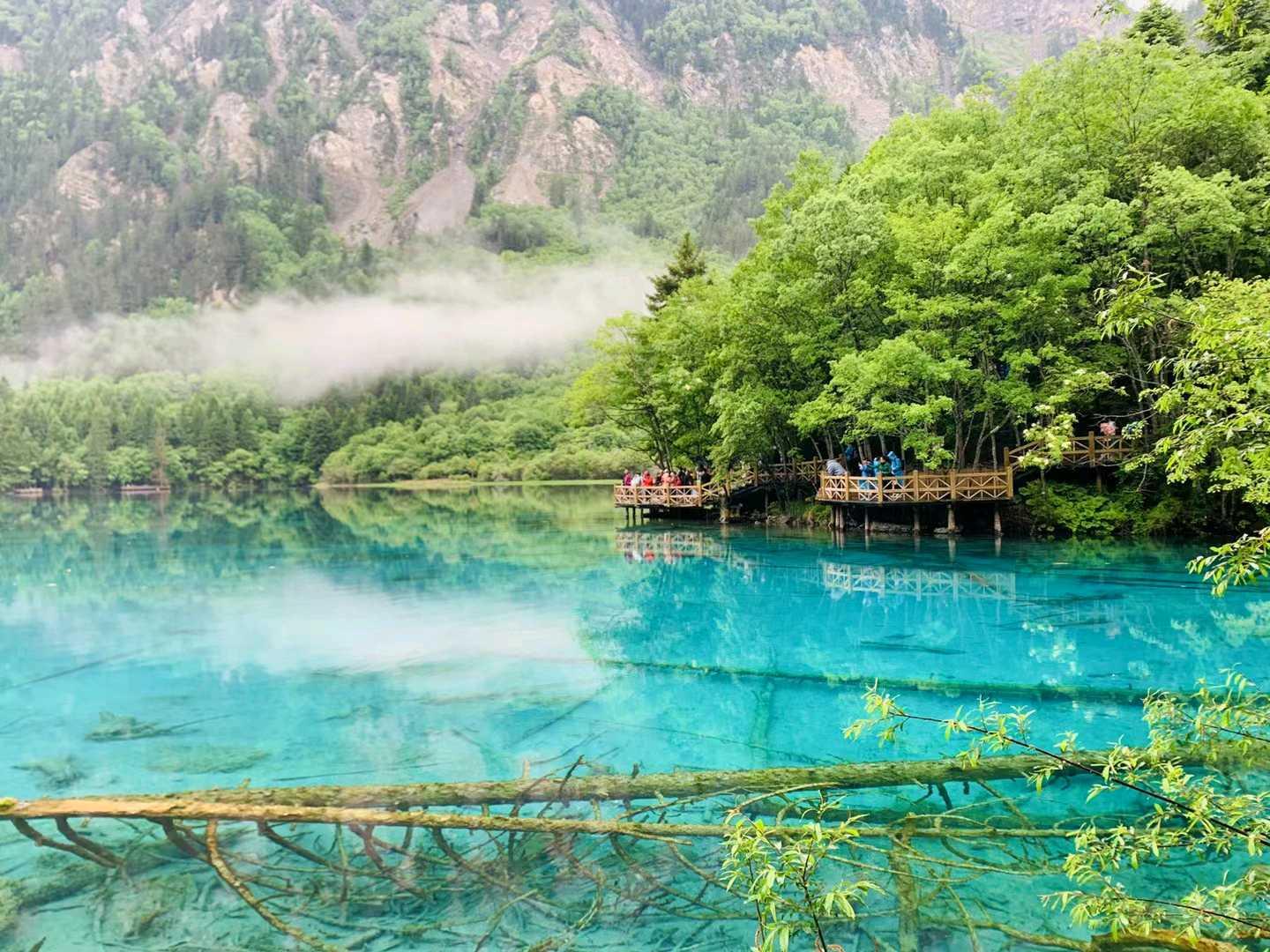 一年去30次 ，九寨沟最全旅游攻略 - 知乎