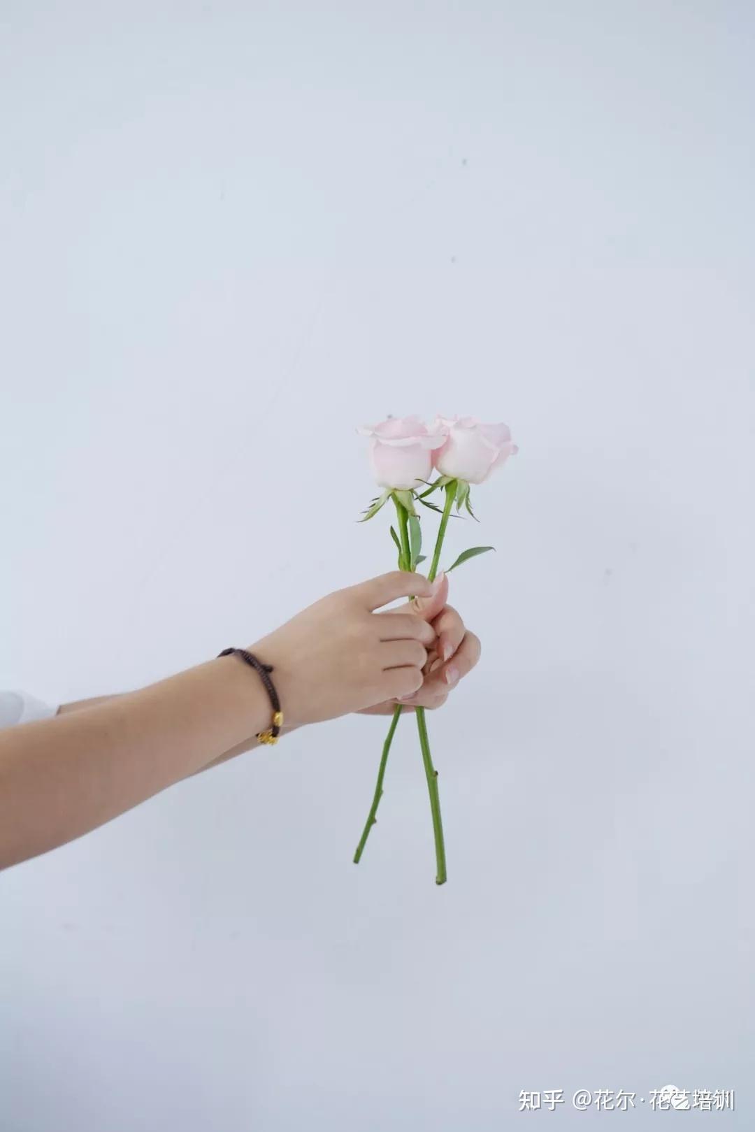 花艺培训花艺师一定要学会基本功手打螺旋