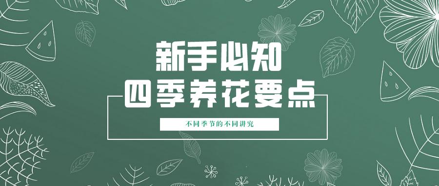 新手必知丨春夏秋冬 四季养花要点 知乎