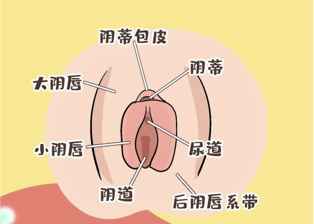 下面长这样,正常吗?