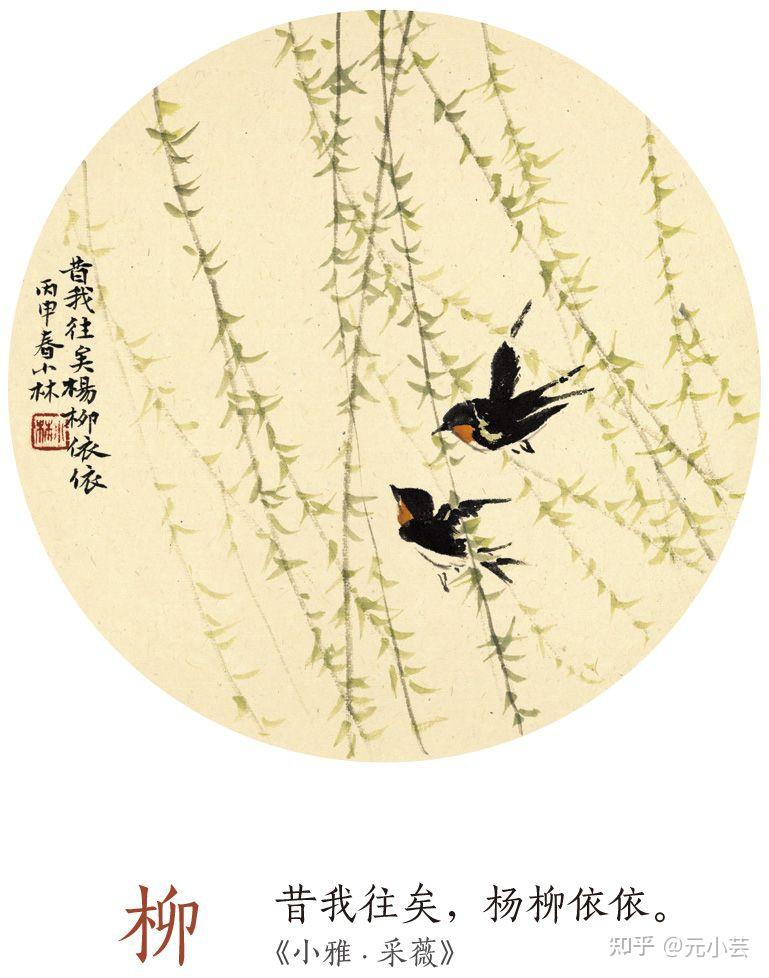 37林帝浣等一朵花开精彩语段