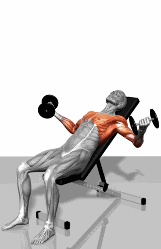 v2-949765ae91a12145ad6442b729de1c77_b.gif