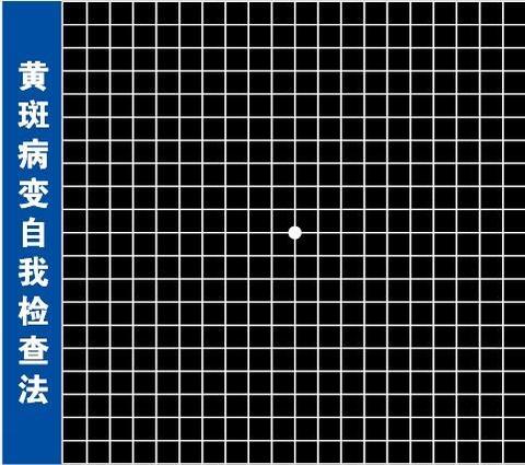 吃西瓜用勺子kk