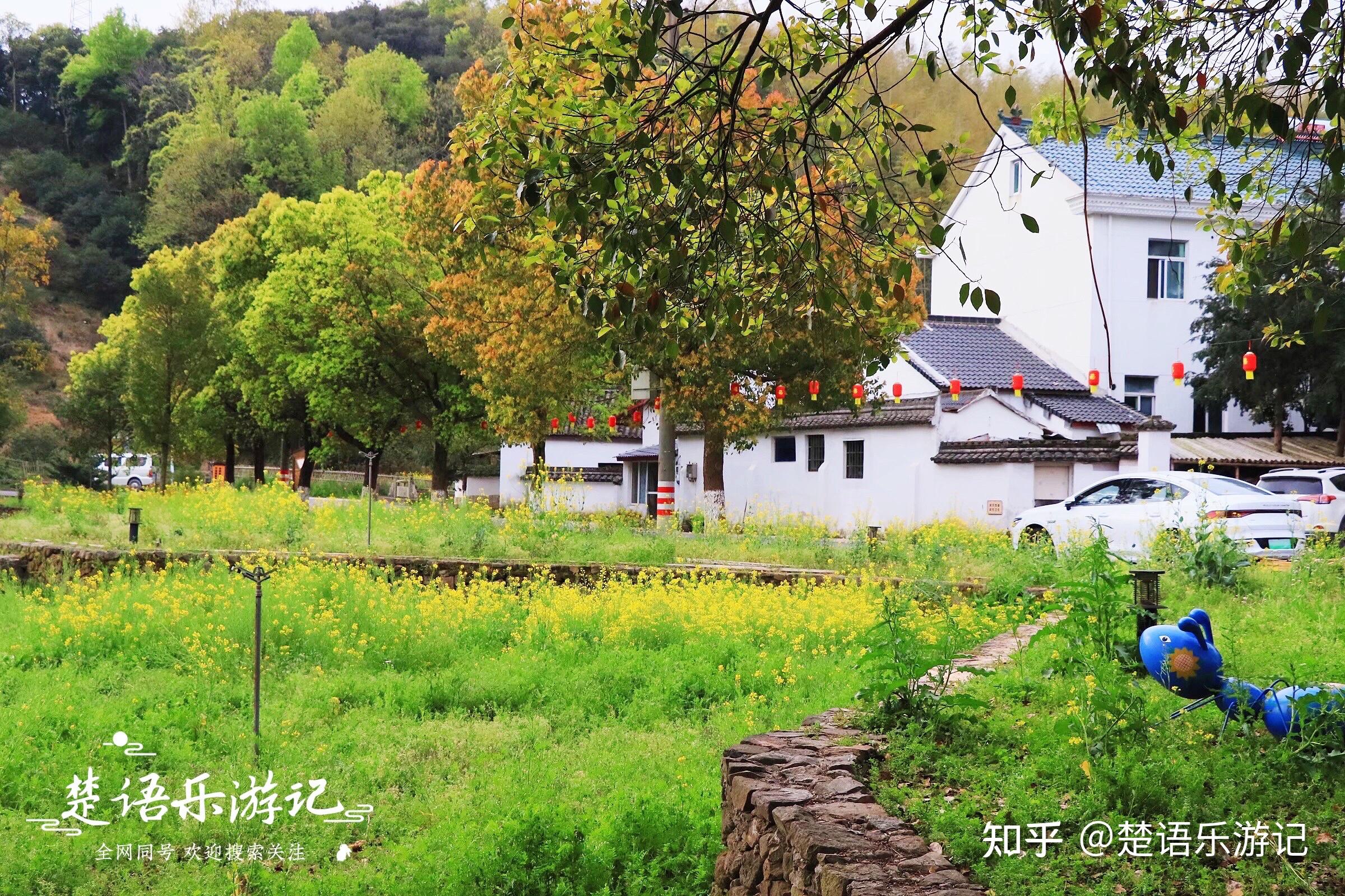 浙江乡村美景图片