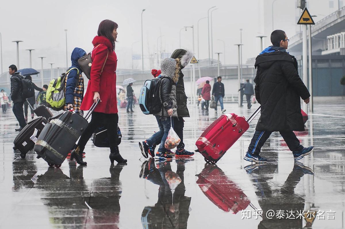 大雁南飞终会返游子外出需归家