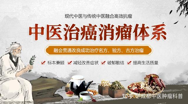 中医肿瘤医院：探索传统与现代融合之路