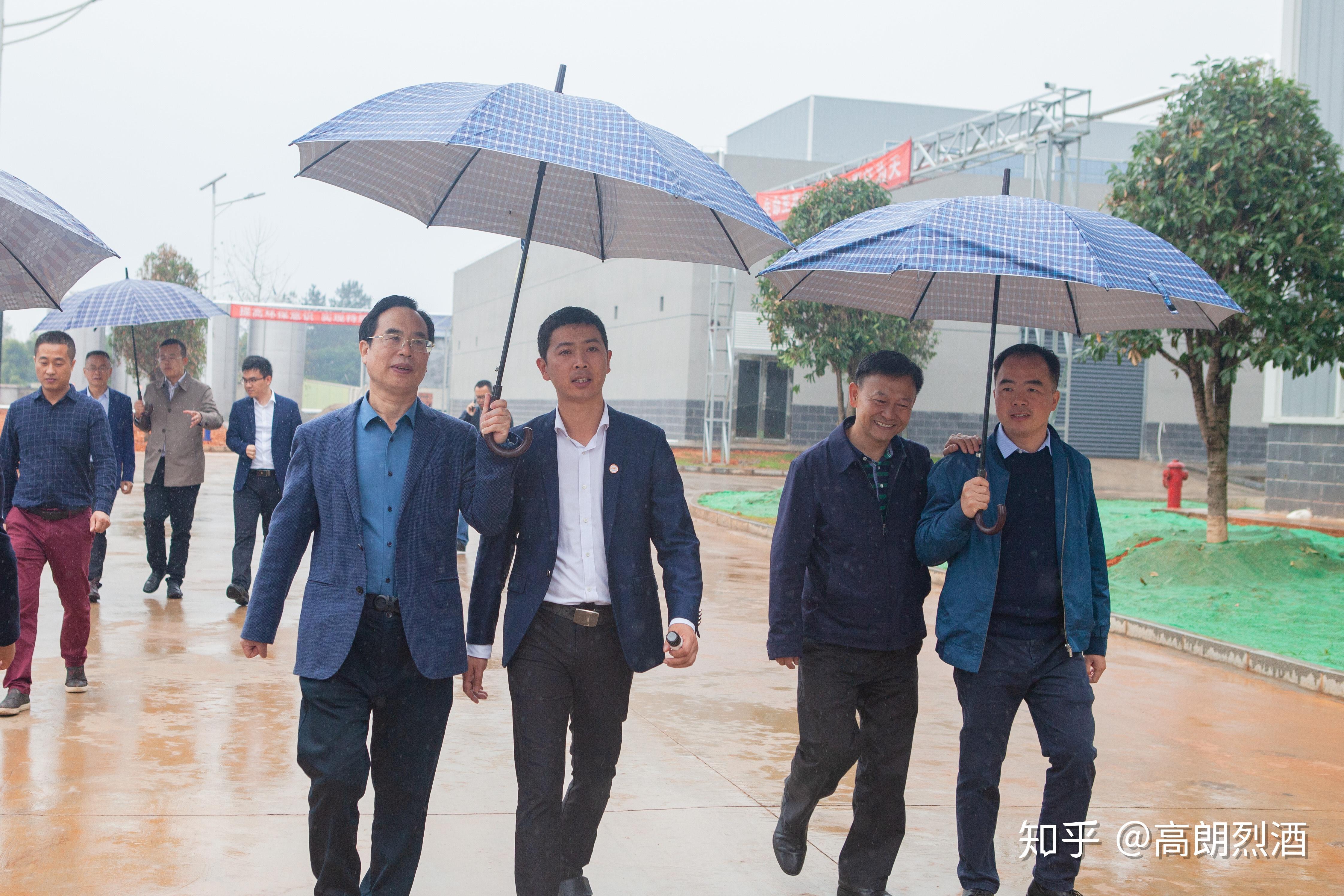 浏阳市人大主任吴震一行莅临高朗集团考察指导工作