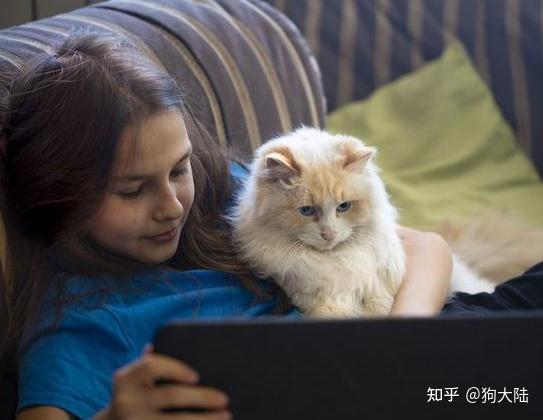 “养猫”和“不养猫”的人,十年后身体区别,千差万别