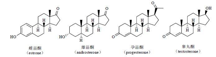甾体化合物的前世今生