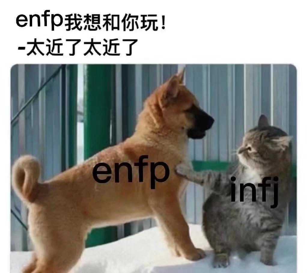 【MBTI表情包】ENFP专属表情包 | 执行官人格表情包 | 总经理人格表情包 - 知乎