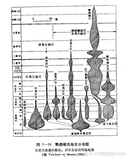 头足纲小传 10 浴火涅槃 前碟菊石目 知乎