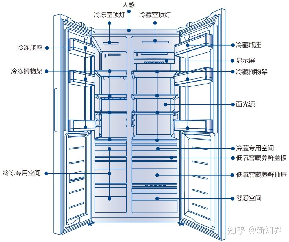 对开门冰箱结构图片