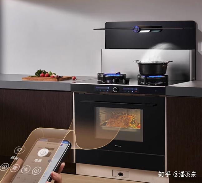 这些火星人集成灶千万不要买2024高性价比火星人集成灶选购全攻略