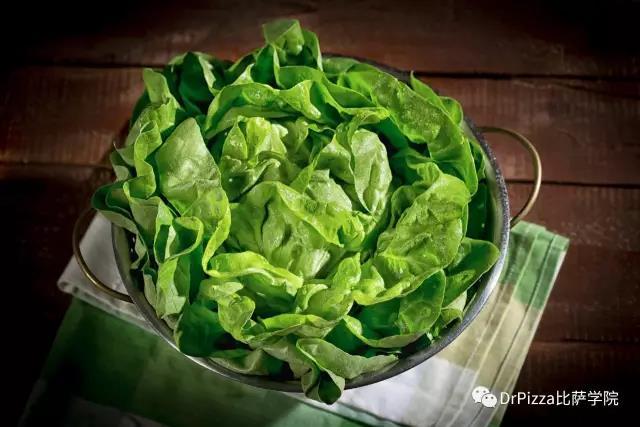 扫盲贴丨沙拉中最常见的蔬菜