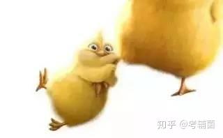 小学 谁的iq高 八道小学趣味数学题 和孩子pk下 知乎