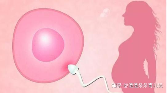关于备孕,准爸爸准妈妈需要知道的注意事项。 - 知乎