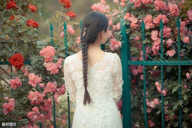 5月开花季 除了赏花还可种花 这些花卉很适合你 知乎