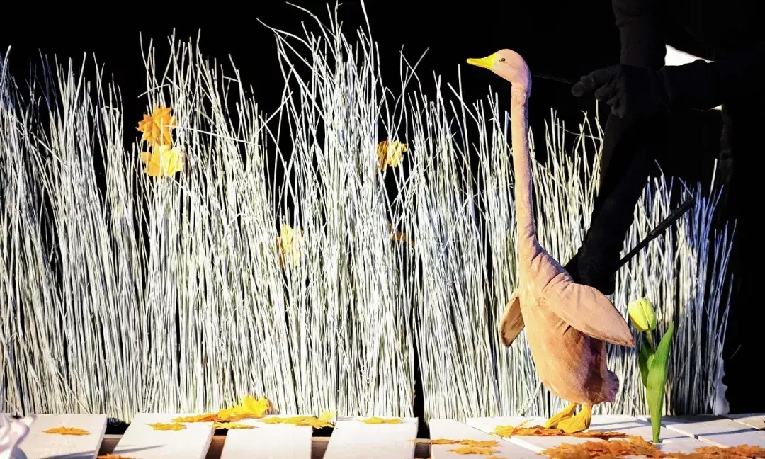 盘点| 那些不可不知的世界绘本出版品牌(中东欧篇)