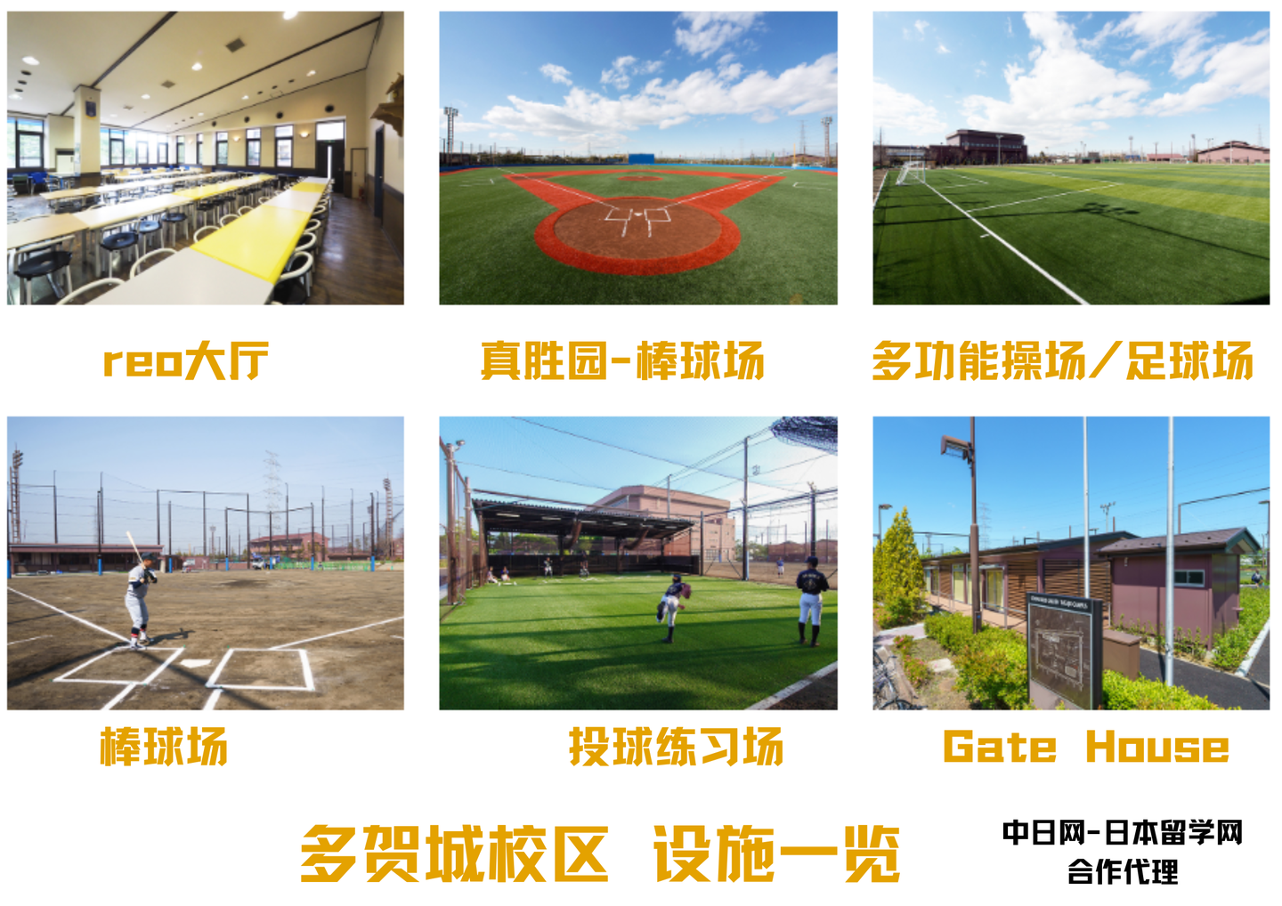 请输入图片描述