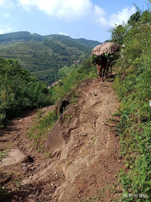 雲南省宣威市倘塘鎮貝古村委會倮麼村道路不通只有電通朋友們一起看看