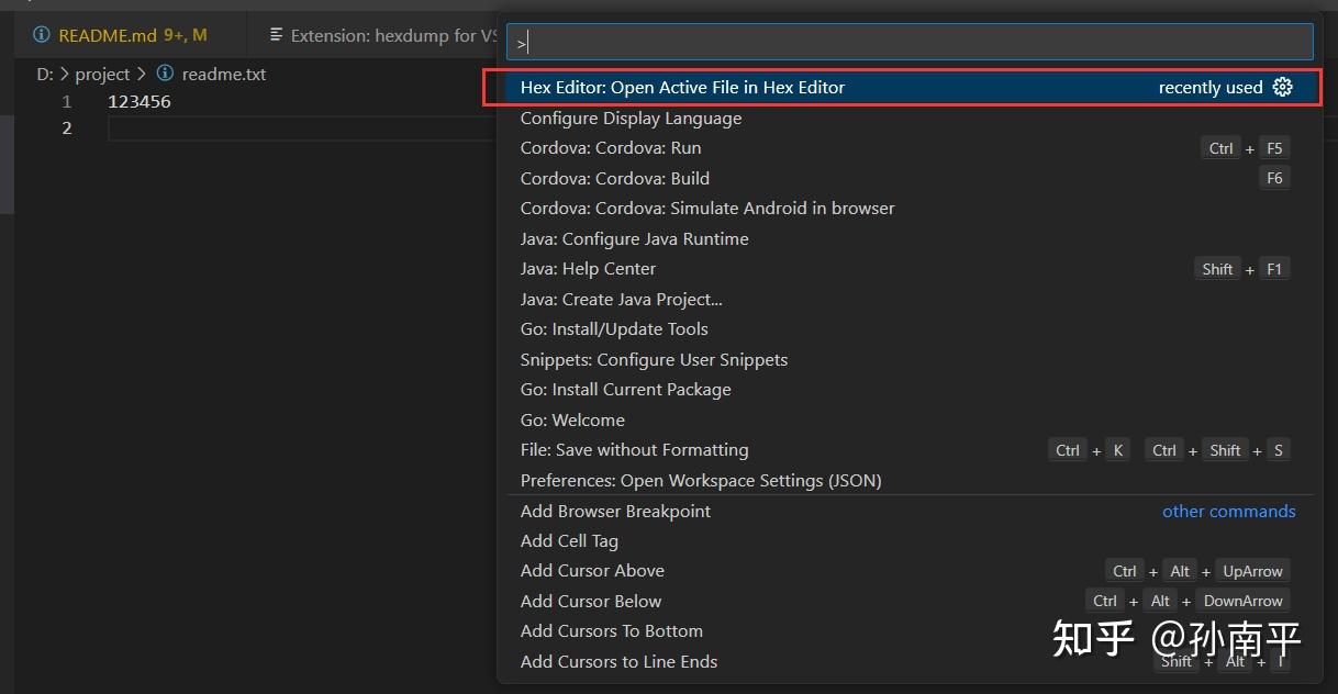 Hex editor vscode 