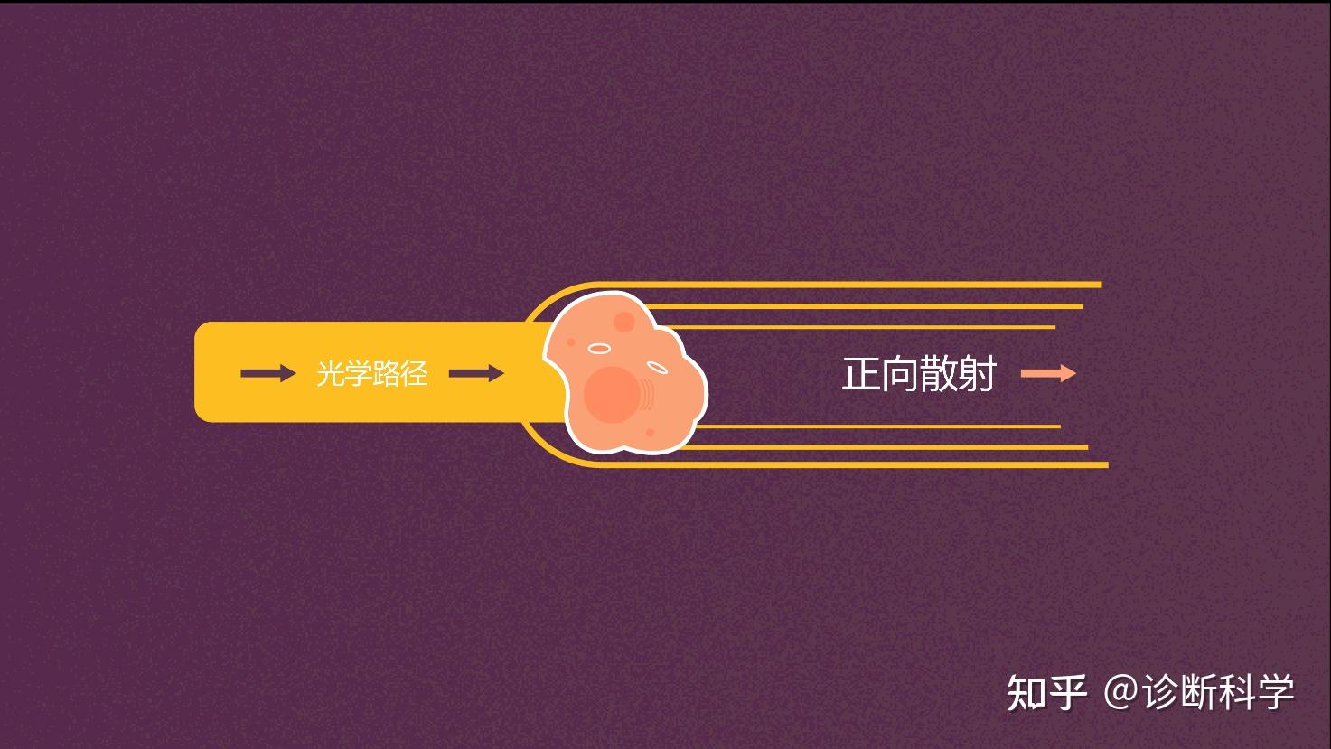 技术 | 一文读懂流式细胞仪 - 知乎