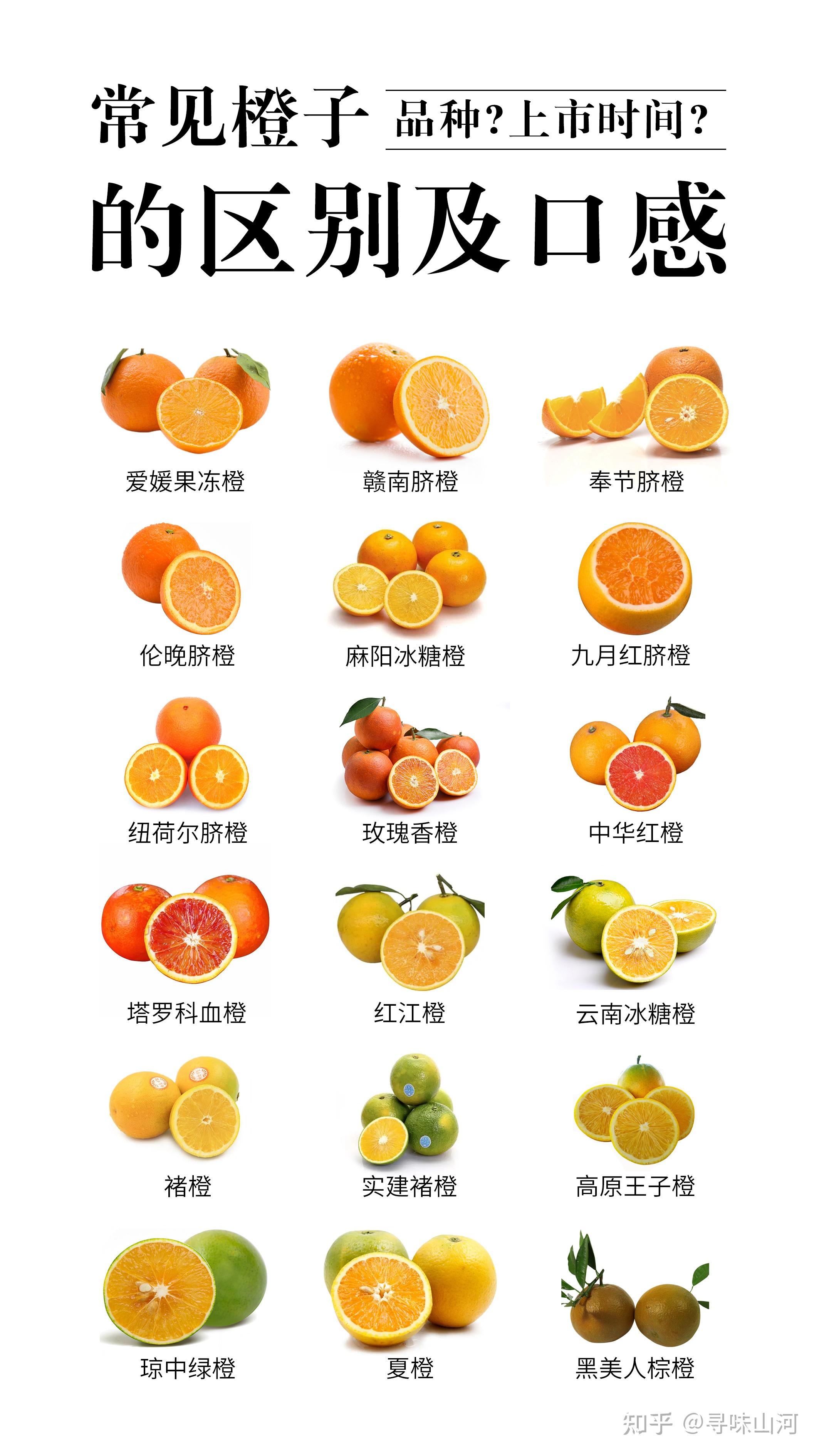 橙子合集常见橙子品种及口感