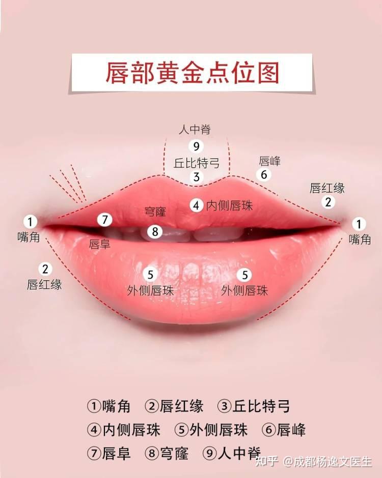 唇部美学 - 知乎