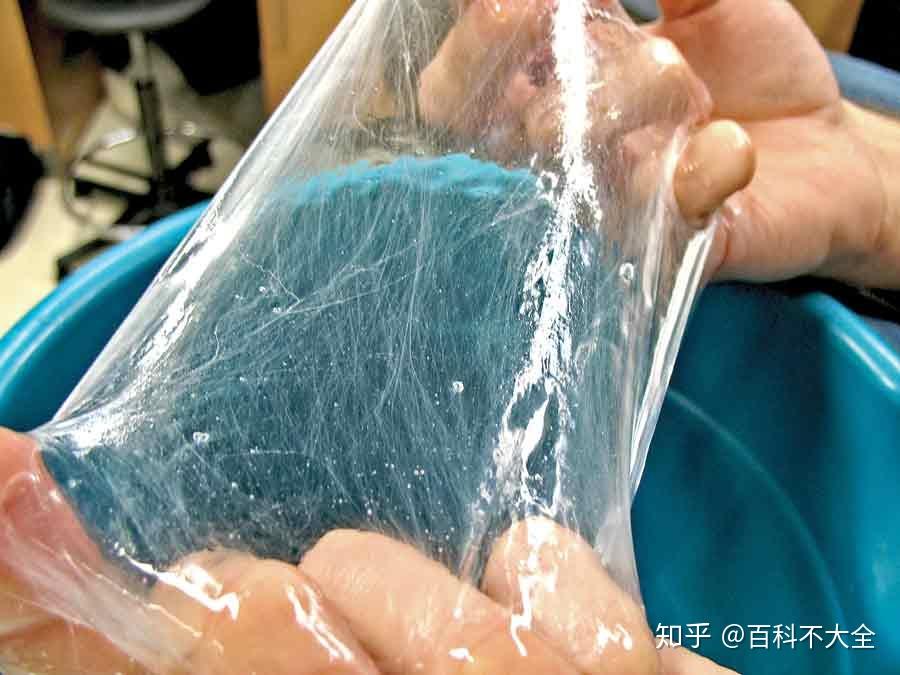 动物篇(32)·无颌鱼 - 知乎