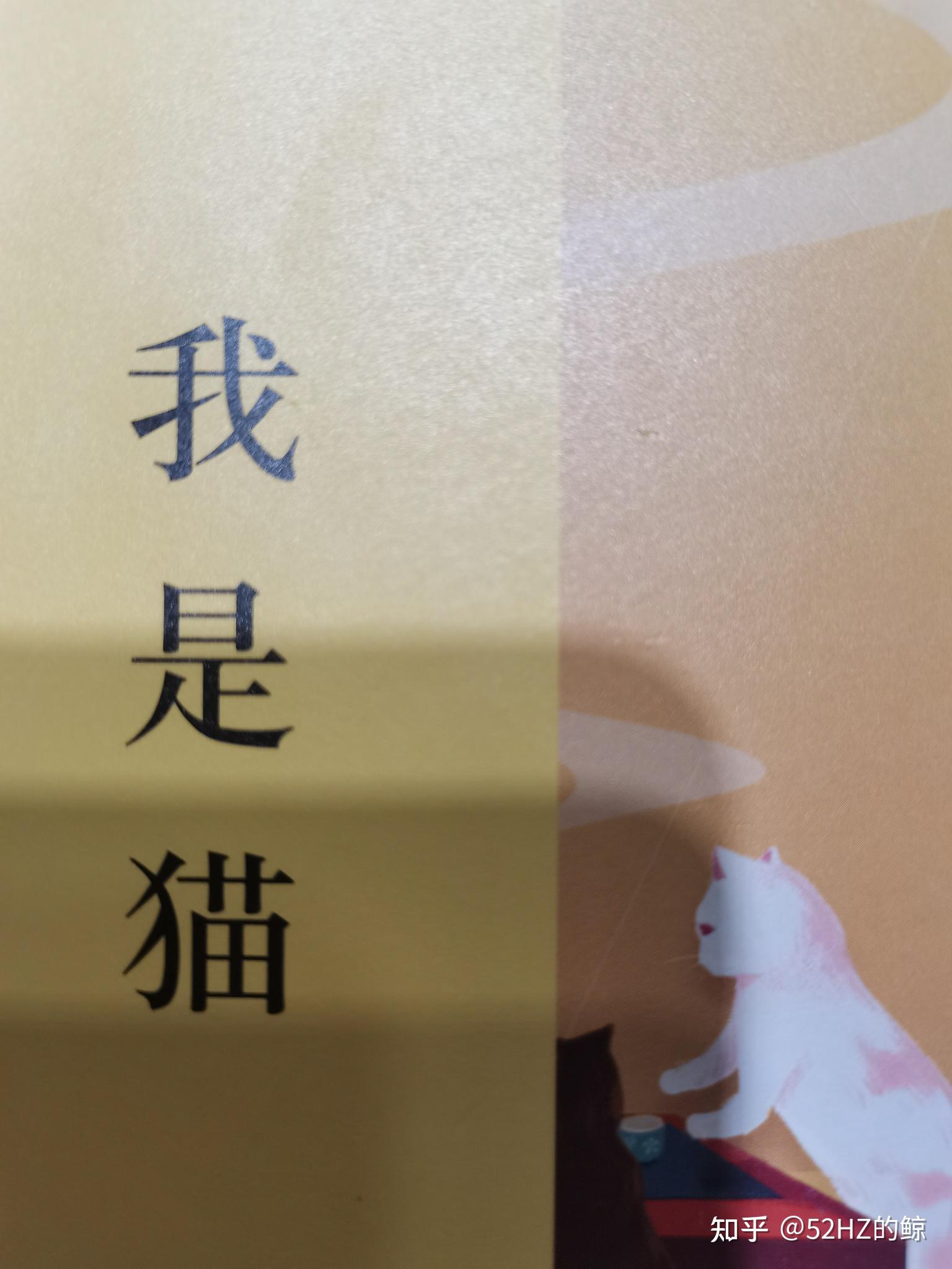 我是猫