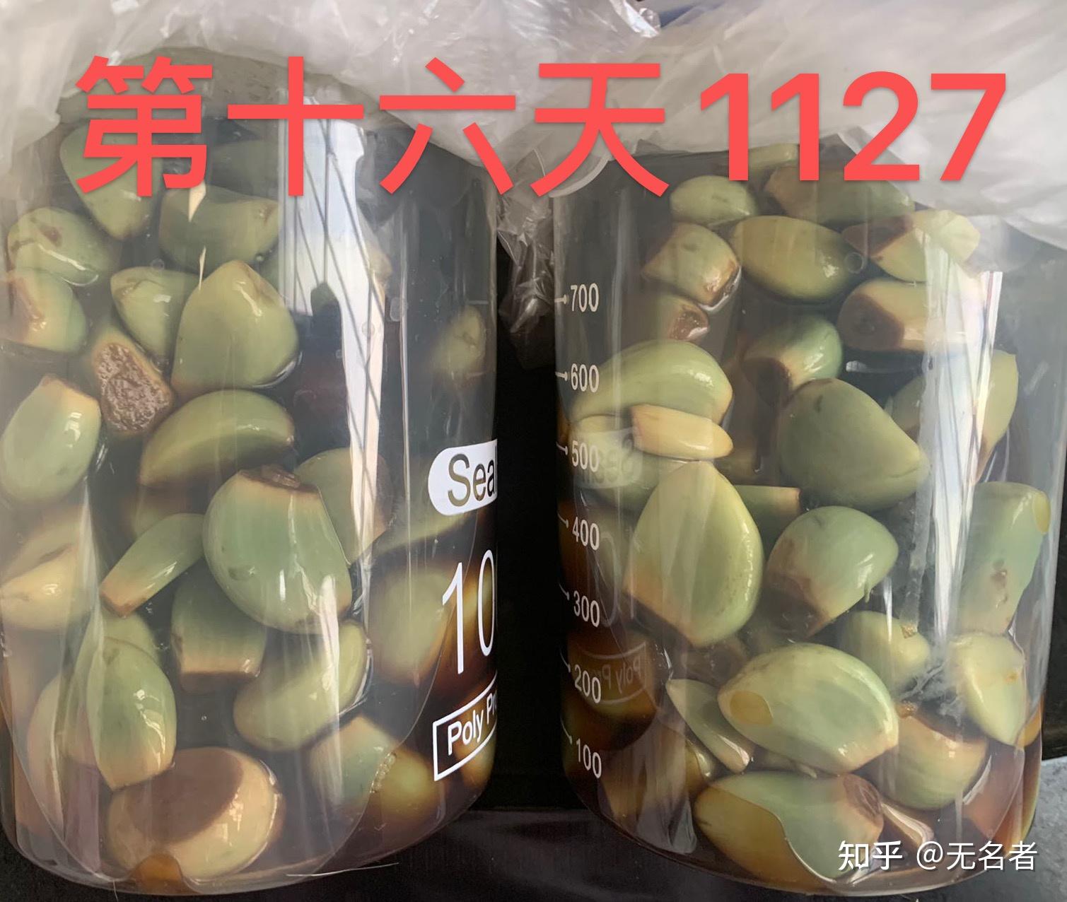 腊八蒜太爱绿了（七天变绿全过程） - 知乎