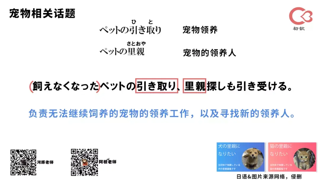 超夢喜歡哪個寶可夢_寶可夢 存檔修改器_寶可夢日月存檔修改器