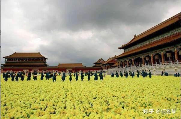 《滿城盡帶黃金甲》還是周杰倫的菊花臺好聽 - 知乎