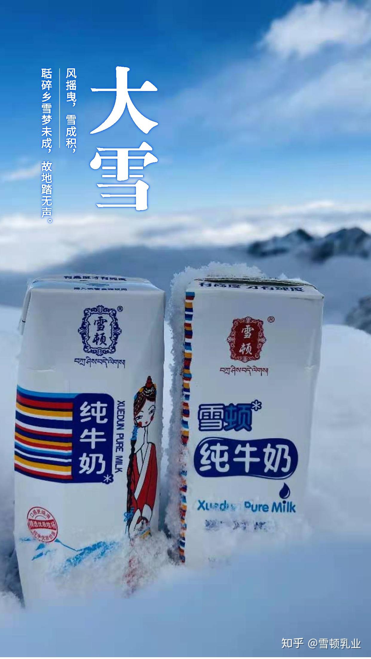 高原雪域遇上雪顿纯牛奶,超你想象的美丽景色!