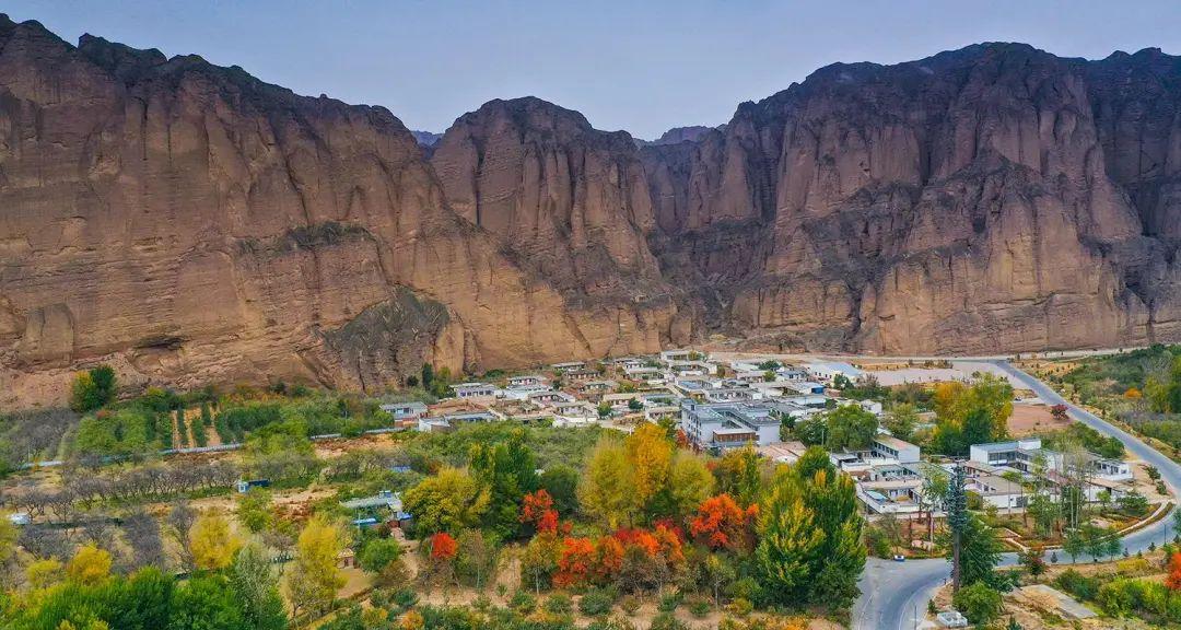 甘肃景泰:龙湾村的金秋时节